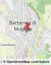 Farmacie Barberino di Mugello,50031Firenze