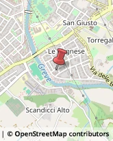 Licei - Scuole Private,50018Firenze