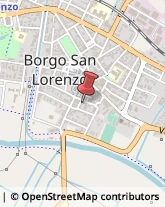 Allergologia - Medici Specialisti Borgo San Lorenzo,50032Firenze