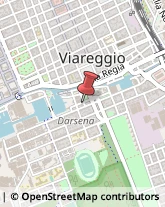Agenzie ed Uffici Commerciali Viareggio,55049Lucca
