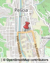 Consulenze Speciali Pescia,51017Pistoia