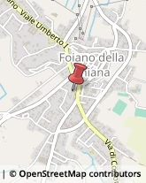 Ristoranti Foiano della Chiana,52045Arezzo