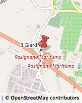 Gomma Articoli - Dettaglio Rosignano Marittimo,57016Livorno