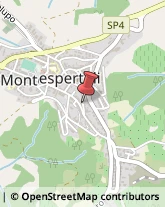 Autotrasporti Montespertoli,50025Firenze