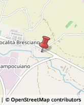 Cereali e Granaglie Esanatoglia,62024Macerata