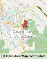 Carabinieri Castelnuovo di Val di Cecina,56041Pisa