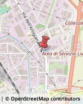 Assicurazioni,57121Livorno