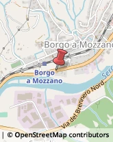 Brokers e Agenti di Assicurazione Borgo a Mozzano,55023Lucca