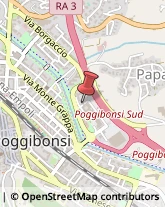 Articoli Sportivi - Dettaglio Poggibonsi,53036Siena