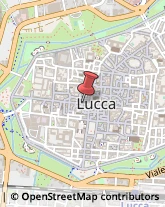 Porcellane - Dettaglio Lucca,55100Lucca