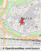 Conferenze e Congressi - Centri e Sedi Lucca,55100Lucca