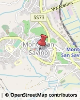 Librerie Monte San Savino,52048Arezzo