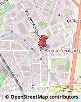 Officine Meccaniche Livorno,57121Livorno