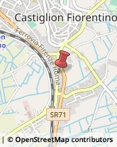 Trasportatori Meccanici Castiglion Fiorentino,52043Arezzo