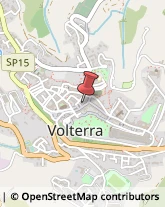 Piante e Fiori - Dettaglio Volterra,56048Pisa