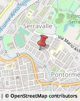 ,50053Firenze