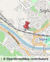 ,50058Firenze