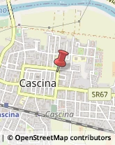 Tappezzieri Cascina,56021Pisa