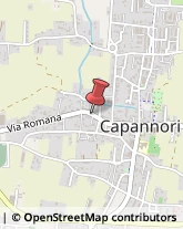 Via Romana, 72,55012Capannori