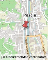 Prodotti Pulizia Pescia,51017Pistoia