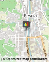 Prodotti Pulizia Pescia,51017Pistoia