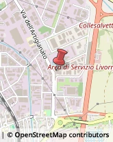 Scale,57121Livorno