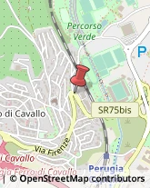 Via Firenze, 55,06127Perugia