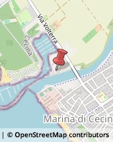 Cantieri Navali - Demolizioni, Manutenzioni e Riparazioni Cecina,57023Livorno