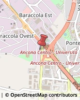 Parrucchieri Ancona,60131Ancona