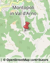 Imballaggio e Confezionamento Conto Terzi Montopoli in Val d'Arno,56020Pisa