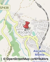 Agenzie Immobiliari Asciano,53041Siena