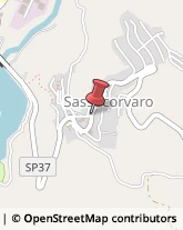 Aziende Agricole Sassocorvaro,61028Pesaro e Urbino