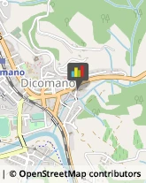 ,50062Firenze