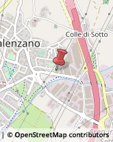 ,50041Firenze