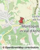 Collegi Montopoli in Val d'Arno,56020Pisa