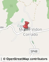 Piante e Fiori - Dettaglio Monte Vidon Corrado,63836Fermo