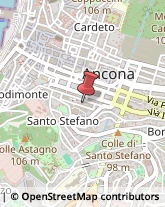 Ordini e Collegi Professionali Ancona,60122Ancona