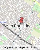 Piante e Fiori - Ingrosso Sesto Fiorentino,50019Firenze