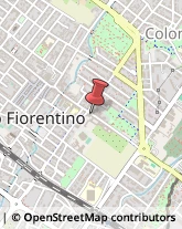 Giornalisti Sesto Fiorentino,50019Firenze