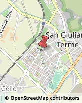 Ricerca e Selezione del Personale San Giuliano Terme,56017Pisa