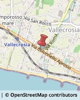 Casalinghi Vallecrosia,18019Imperia