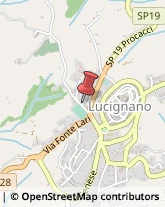 Amministrazioni Immobiliari Lucignano,52046Arezzo