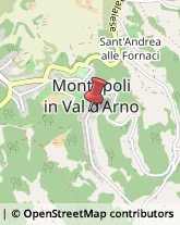 Istituti di Bellezza Montopoli in Val d'Arno,56020Pisa