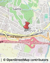 Elementari - Scuole Private Pieve a Nievole,51018Pistoia