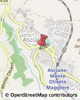 Autofficine e Centri Assistenza Asciano,53041Siena