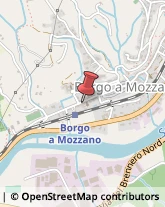 Università ed Istituti Superiori Borgo a Mozzano,55023Lucca