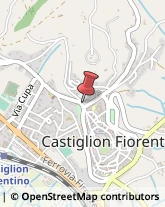 Aziende Sanitarie Locali (ASL) Castiglion Fiorentino,52043Arezzo
