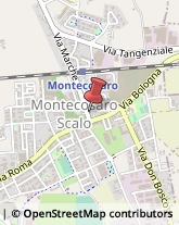 ,62010Macerata