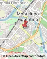 Trasporto Disabili Montelupo Fiorentino,50056Firenze