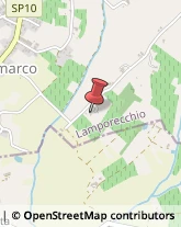 Demolizioni e Scavi Lamporecchio,51035Pistoia